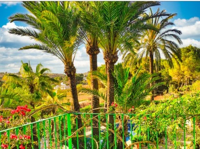 Venta - Finca -
Teulada