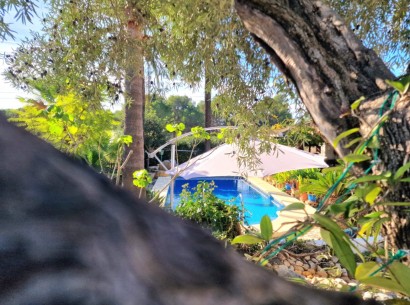 Venta - Finca -
Teulada