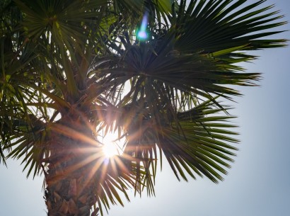 Sale - Penthouse -
Denia