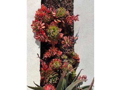 Revente - Penthouse -
Denia