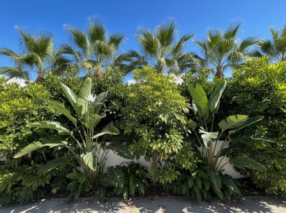 New Build - Luxury Villa -
Moraira - Moravit