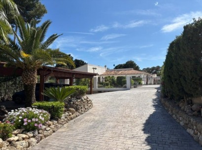 Venta - Finca -
Alfaz del Pi