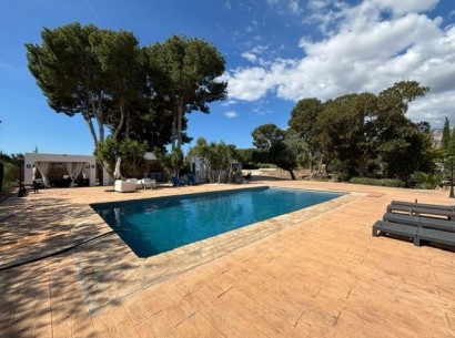Venta - Finca -
Alfaz del Pi