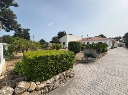Venta - Finca -
Alfaz del Pi