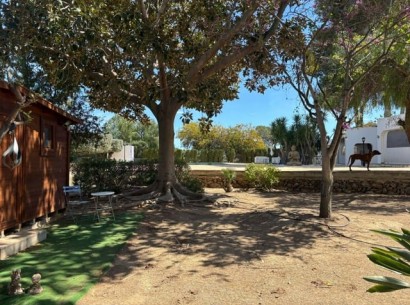 Venta - Finca -
Alfaz del Pi