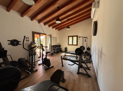Venta - Finca -
Alfaz del Pi
